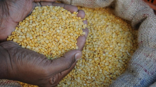 Toor Dal Price Hike in Karnataka: Cost of Tur Dal Expected to Approach ₹200 per kg