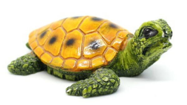 Vastu tips where to keep black tortoise to see growth in career in kannada