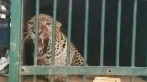 ttd-entry-time-changed-for-devotees