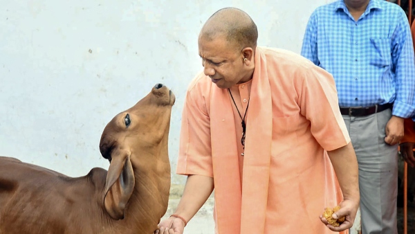 Yogi Adityanath ordered to build new guesthouses in 4 places including Bengaluru