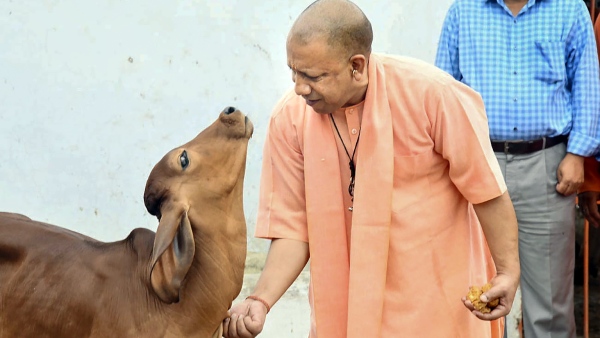 Azadi Ka Amrit Mahotsav Shows Vision of New India: CM Yogi Adityanath