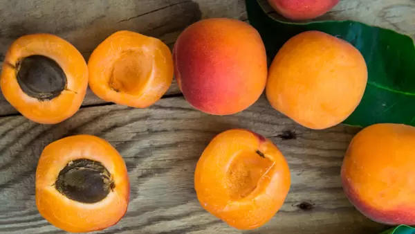 7 Unknown Health Benefits of Eating Apricot Fruit in Kannada