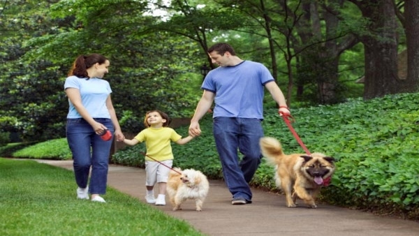 astrological-benefits-of-having-a-dog