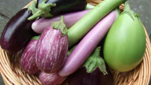 Here is the recipe for making sesame mixed aubergine