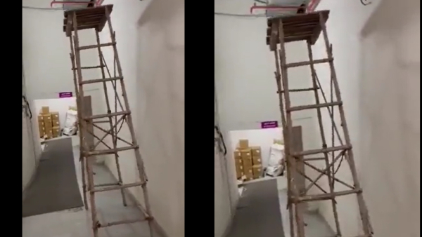 bamboo-ladder-that-walked-by-itself