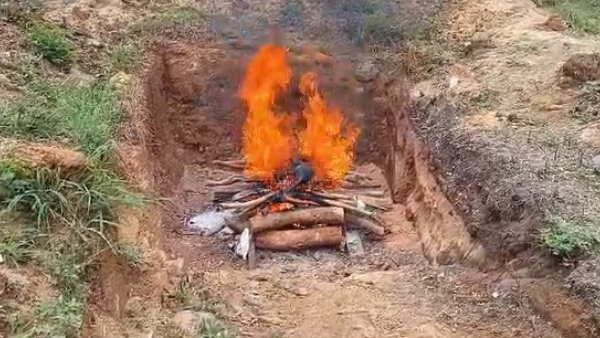 7 Leopard And 13 Deer Died In Bannerghatta Biological Park