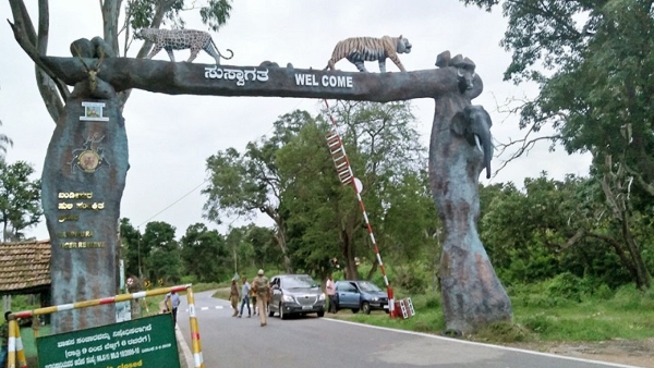 Less Rainfall In Karnataka: Drought Effect On Bandipur