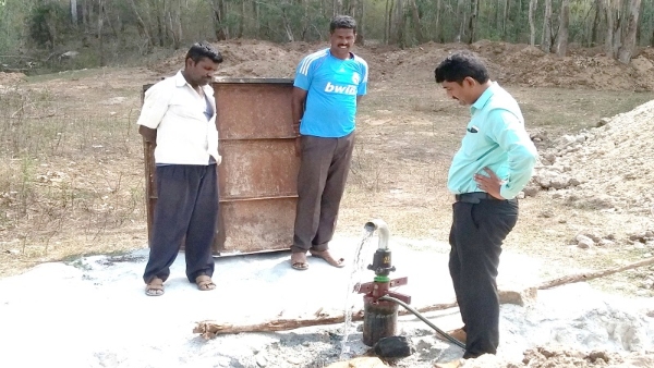 Less Rainfall In Karnataka: Drought Effect On Bandipur