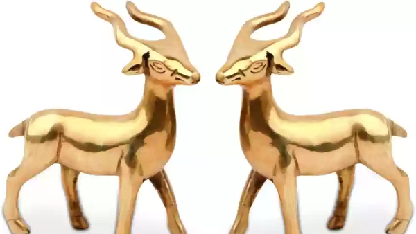 Vastu tips where to keep brass deer statue at home for wealth and good health in kannada