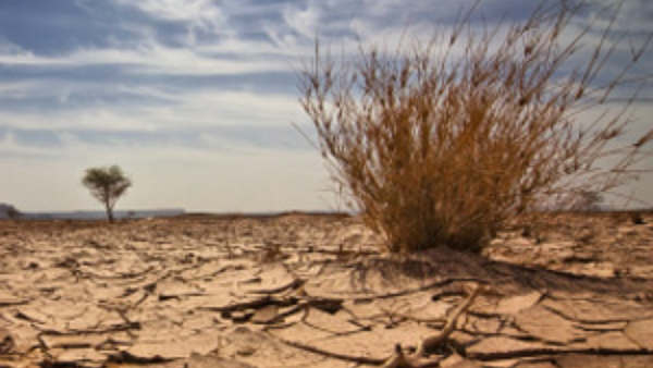 Govt Meeting On Sept 4 About Drought In State, CM Will Announce More 100 Talluk Drought Places