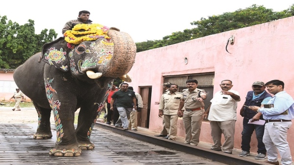 State Drought May Effect On Mysuru Dasara 2023 