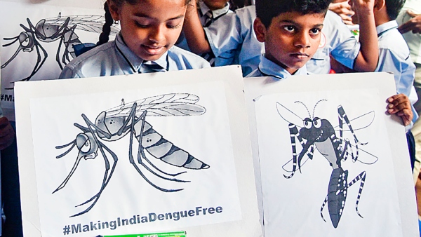 Dengue Chikungunya Malaria Symptoms Precautionary Measures 