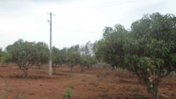 Eshwar Khandre Instructed To Create Special Task Force For Clearing Forest Encroachment