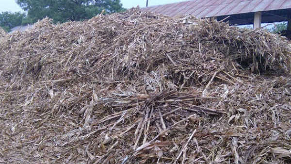 Karnataka Restricts Fodder Transportation to Other States