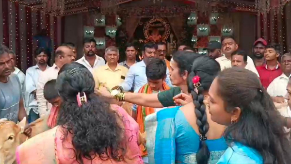 APMC staff worshiped 101 cows for rain in Gadag