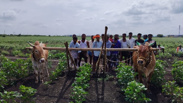 government-dropped-sindoor-from-drought-area-list