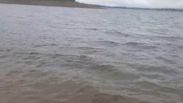 Holenarsipura Doctor Drown In Hemavathi River