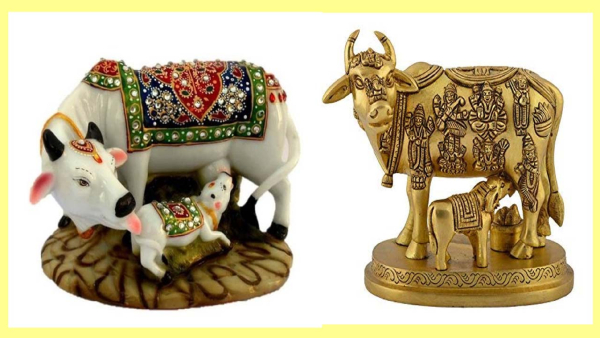 krishna janmashtami 2023 bring these six things at home to increase wealth in kannada