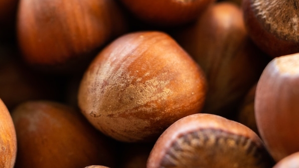 Amazing Health Benefits of Hazelnut in Kannada Along with Nutritional Value Amazing Health Benefits of Hazelnut in Kannada Along with Nutritional Value