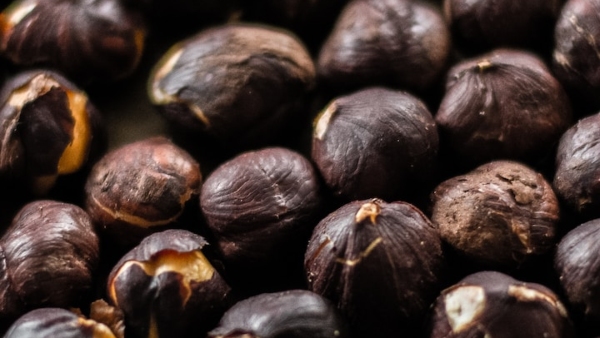 Amazing Health Benefits of Hazelnut in Kannada Along with Nutritional Value Amazing Health Benefits of Hazelnut in Kannada Along with Nutritional Value