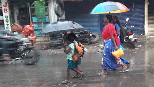 Karnataka Rain: Heavy rainfall with thunder forecast in these districts of state