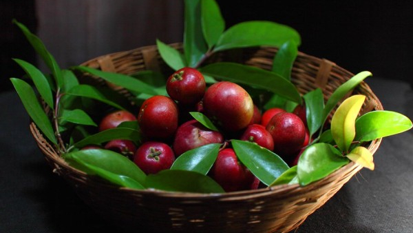 9 Amazing Health Benefit Of Kokum Fruits For Digestive System, Skin Etc In Kannada 9 Amazing Health Benefit Of Kokum Fruits For Digestive System, Skin Etc In Kannada