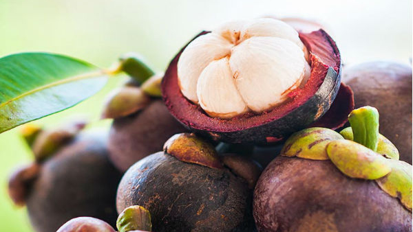 9 Amazing Health Benefit Of Kokum Fruits For Digestive System, Skin Etc In Kannada 9 Amazing Health Benefit Of Kokum Fruits For Digestive System, Skin Etc In Kannada