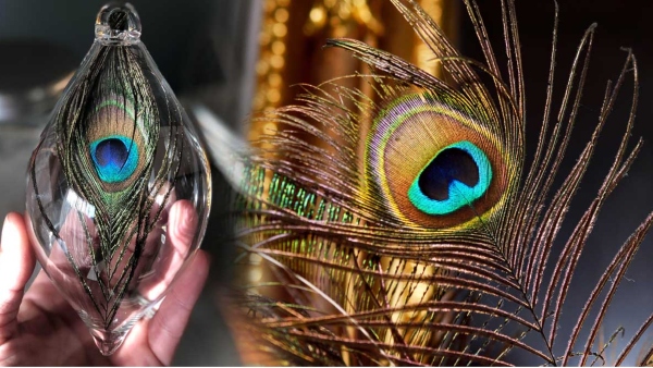 krishna janmashtami 2023 bring these six things at home to increase wealth in kannada