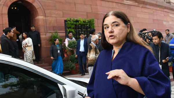 BJP MP Maneka Gandhi Says ISKCON biggest cheat, It Sells Cows To Butchers: Get the details