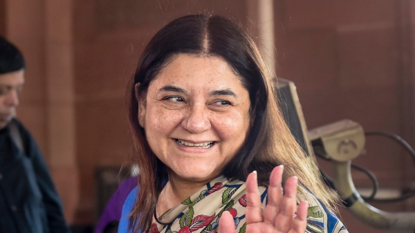 BJP MP Maneka Gandhi Says ISKCON biggest cheat, It Sells Cows To Butchers: Get the details
