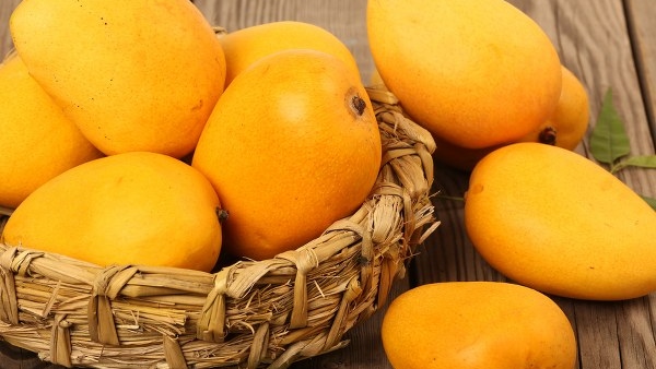 ganesh chaturthi 2023 lord ganesha favourite fruits in kannada