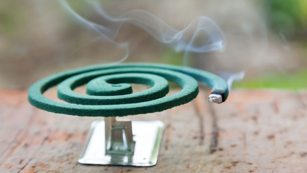 Mosquito coil side effects things that happen if you burn a mosquito coil daily in kannada
