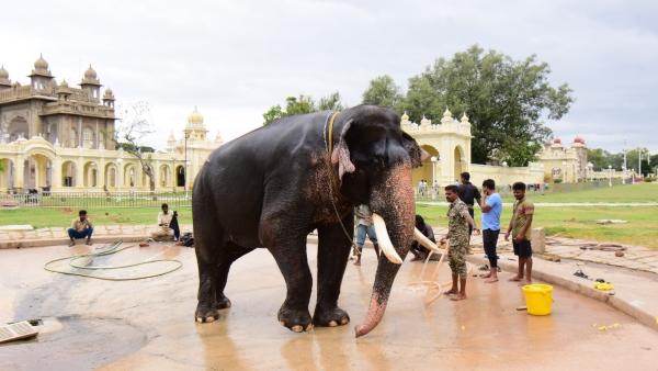 mysuru-dasara-2023