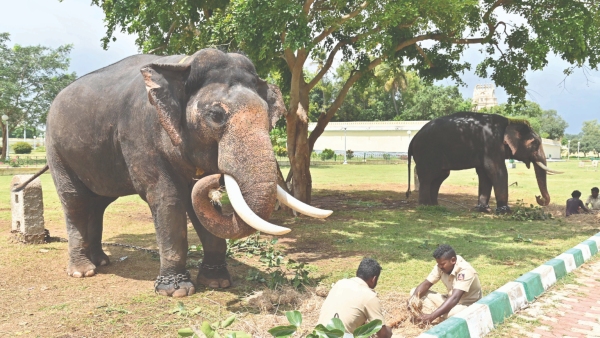 mysuru-dasara-2023
