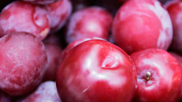 8 Unknown Health Benefits of Eating Plum Fruit in Kannada