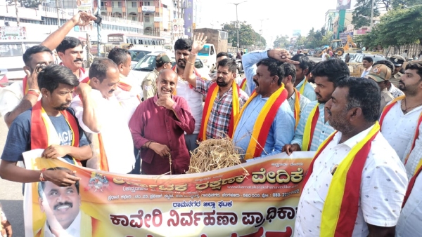 pro-kannada-organisations-protest