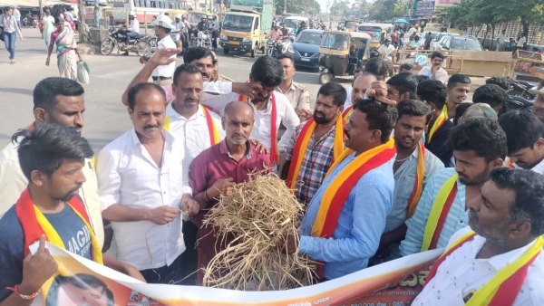 pro-kannada-organisations-protest