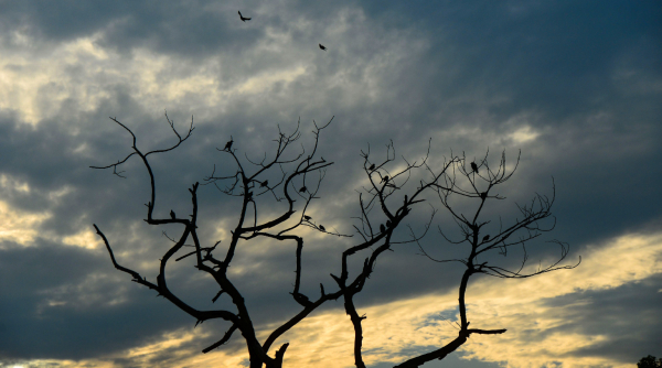 Heavy Rain to Drench Tamil Nadu, Karnataka, Andhra, Telangana and Kerala This Week Heavy Rain to Drench Tamil Nadu, Karnataka, Andhra, Telangana and Kerala This Week