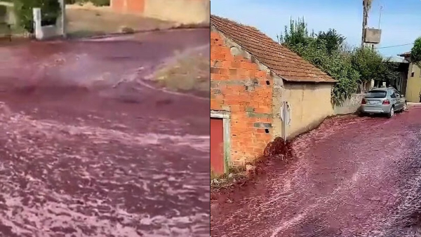 Discover why this Portugal city road transforms into a Red Wine River 