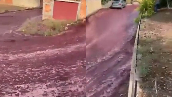 Discover why this Portugal city road transforms into a Red Wine River 