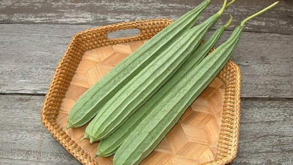 10 Amazing Health Benefits of Ridge Gourd That you must know in Kannada 10 Amazing Health Benefits of Ridge Gourd That you must know in Kannada