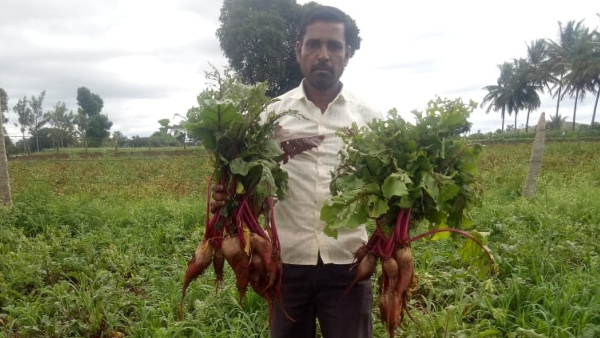 seed-and-fertilizer-shop-owner