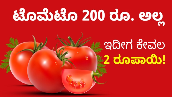 Tomato price hits 2 rupees per kg in several areas from 200 rupees Tomato price hits 2 rupees per kg in several areas from 200 rupees