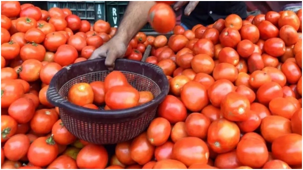 Tomato Prices
