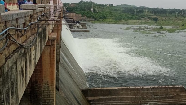 Avoid Chilli Crop Horticulture Department Tells Balalri Farmers