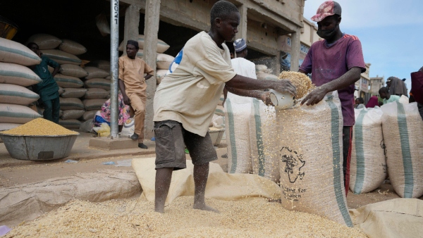 Union Government Reduced Wheat Stock Limits Union Government Reduced Wheat Stock Limits