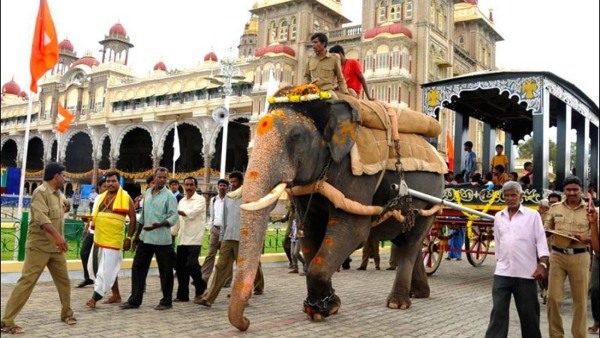 Mysuru Dasara 2023: How Abhimanyu Became The Captain Of The Gajapade