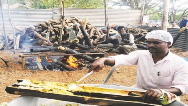Mysuru Dasara 2023: What Will Be In This Dasara Food Fair? Mysuru Dasara 2023: What Will Be In This Dasara Food Fair?