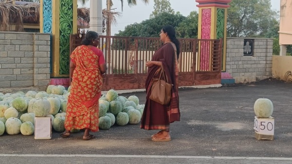 Ayudha Pooja 2023: Fruits And Flowers Price Increase In Chikkaballapur Market