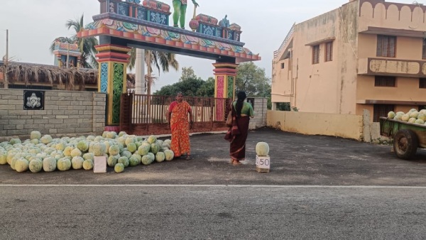 Ayudha Pooja 2023: Fruits And Flowers Price Increase In Chikkaballapur Market